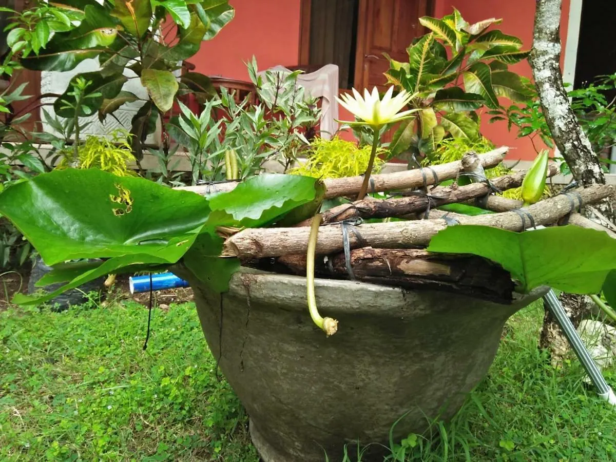 Made Roejas Homestay Uluwatu